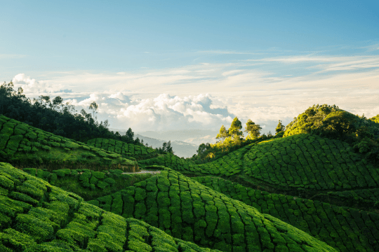 Munnar