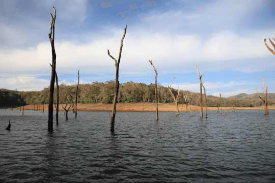 Thekkady