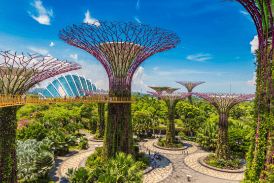 Gardens By the Bay
