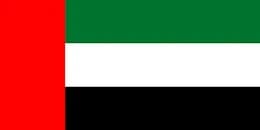 Dubai flag