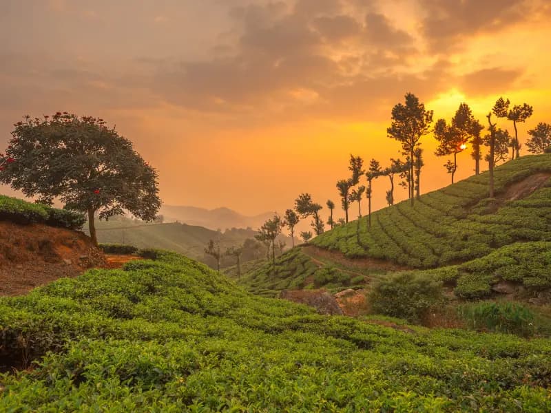 15 Honeymoon Destinations For Newlyweds